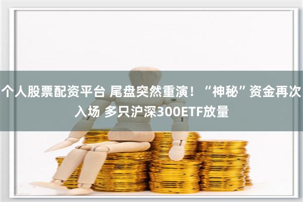 个人股票配资平台 尾盘突然重演！“神秘”资金再次入场 多只沪深300ETF放量