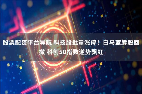 股票配资平台导航 科技股批量涨停！白马蓝筹股回撤 科创50指数逆势飘红