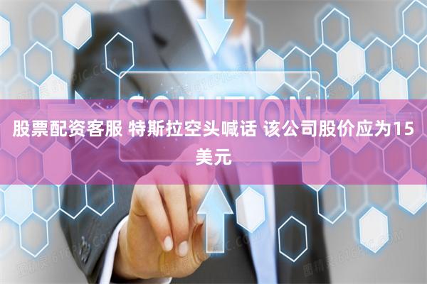 股票配资客服 特斯拉空头喊话 该公司股价应为15美元