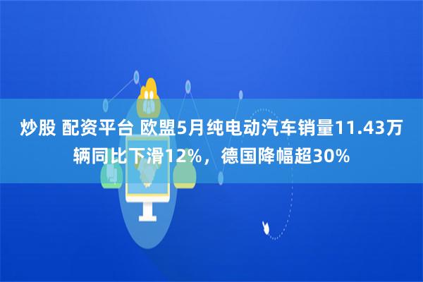 炒股 配资平台 欧盟5月纯电动汽车销量11.43万辆同比下滑12%，德国降幅超30%