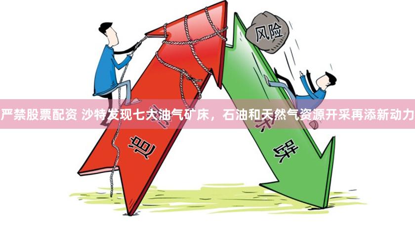 严禁股票配资 沙特发现七大油气矿床，石油和天然气资源开采再添新动力