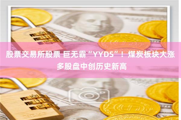 股票交易所股票 巨无霸“YYDS”！煤炭板块大涨 多股盘中创历史新高