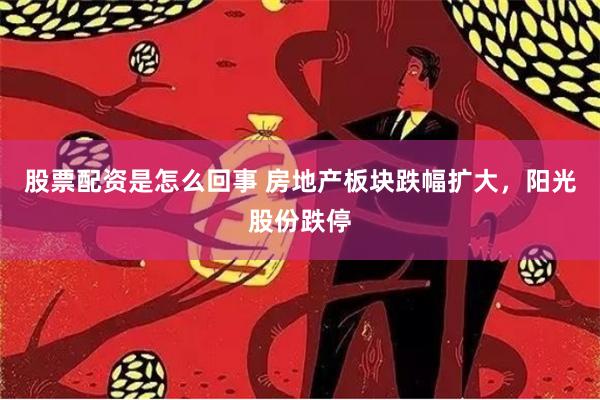 股票配资是怎么回事 房地产板块跌幅扩大，阳光股份跌停