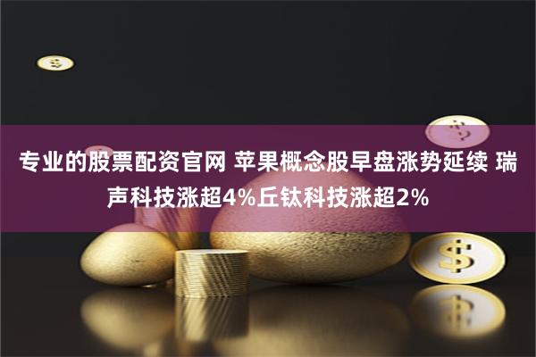 专业的股票配资官网 苹果概念股早盘涨势延续 瑞声科技涨超4%丘钛科技涨超2%