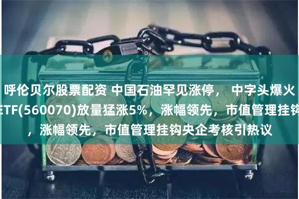呼伦贝尔股票配资 中国石油罕见涨停， 中字头爆火，央企股东回报ETF(560070)放量猛涨5%，涨幅领先，市值管理挂钩央企考核引热议