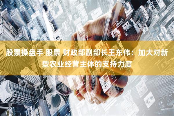 股票操盘手 股票 财政部副部长王东伟：加大对新型农业经营主体的支持力度