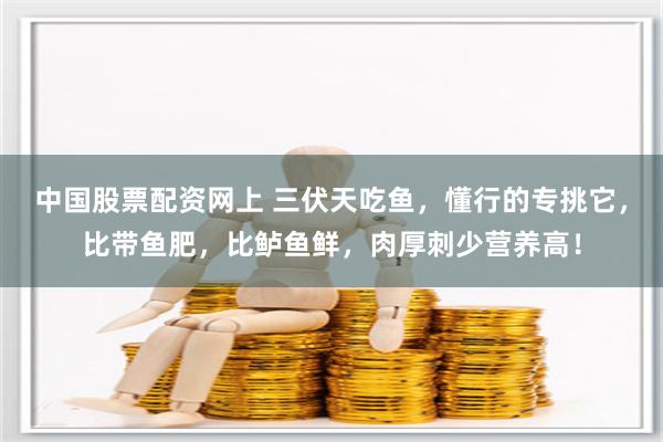 中国股票配资网上 三伏天吃鱼，懂行的专挑它，比带鱼肥，比鲈鱼鲜，肉厚刺少营养高！