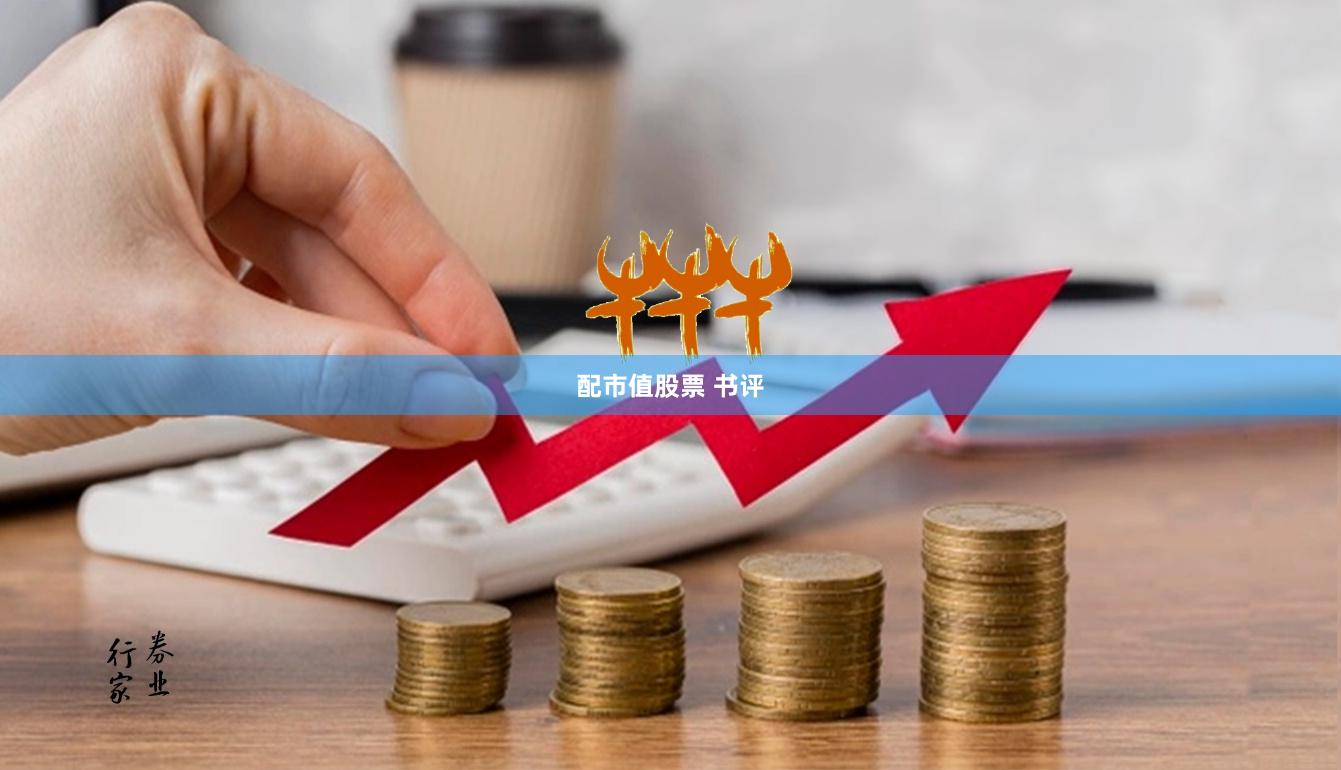 配市值股票 书评
